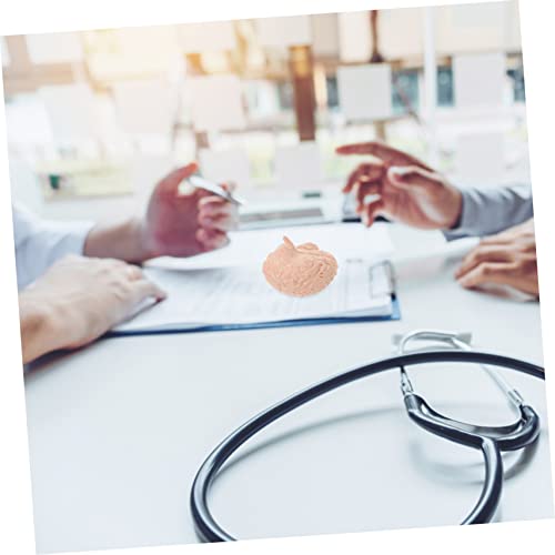 iplusmile 8 Stück Teiliges Anatomisches Organmodell Realistische Menschliche Organe Lehrmittel für Medizinstudenten Lebensechte Darstellung von Herz Gehirn Darm und Nieren Pädagogisches von iplusmile