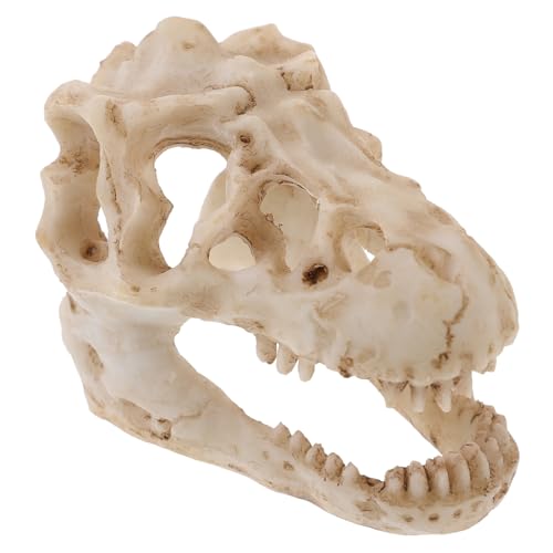 iplusmile Dinosaurier Schädel Modell aus Kunstharz Kompaktes für Schreibtische und Bücherregale für Dinosaurierliebhaber und Sammler von iplusmile