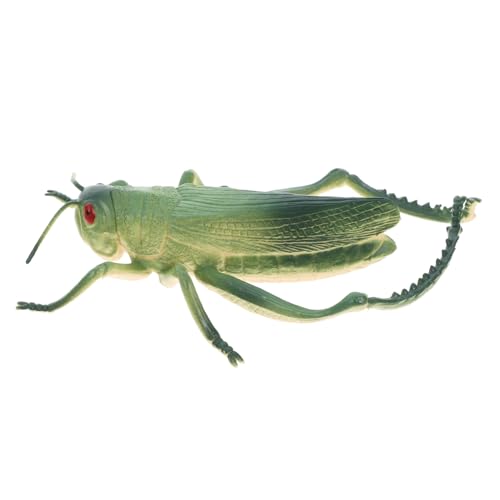 iplusmile Heuschreckenverzierungen falsche Fehler Cricket-Streich Fehler für Mini-Tierfiguren Ameisenmodell aus Kunststoff gefälschte Cricket-Requisiten PVC Grün iplusmile Heuschreckenverzierungen falsche Fehler Cricket-Streich Fehler für Mini-Tierfiguren Ameisenmodell aus Kunststoff gefälschte Cricket-Requisiten PVC Grün von iplusmile
