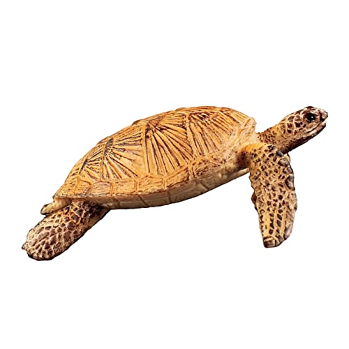 iplusmile Realistische Schildkrötenfigur Detailgetreues Ozeantier Modell Pädagogisches für Dekoration für Themenbezogene Partys Geschenkidee iplusmile Realistische Schildkrötenfigur Detailgetreues Ozeantier Modell Pädagogisches für Dekoration für Themenbezogene Partys Geschenkidee von iplusmile