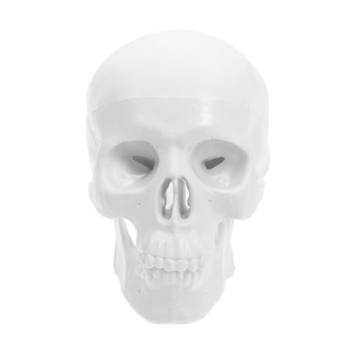 iplusmile Schädelskelettmodell Schädelmodell Knochenmodell Schädel Modell für Halloween-Dekoration Abnehmbares Schädel Modell Anatomie-Lernkarten echter Tierschädel Lehrleiter Legierung Weiß von iplusmile