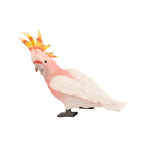iplusmile Simulationsvogelmodell Vogel Figur Vogel Tiermodell Spielzeugtiermodelle Papageiendekorationsstatue -Figur Simulation Molukkenkakadu-Modell Plastik von iplusmile