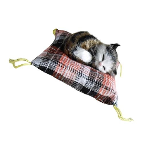 jdstty Simulation Tiermodell Gefüllte Schlafkatzen Plüsch Pelzkätzchen Ornament Auf Kissenmatte Für Kinder Erwachsene Anwesend jdstty Simulation Tiermodell Gefüllte Schlafkatzen Plüsch Pelzkätzchen Ornament Auf Kissenmatte Für Kinder Erwachsene Anwesend von jdstty