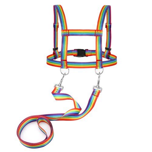 Pferdegeschirr für Kinder Pferdeleine zum Spielen für Kinder Zaumzeug Skifahren Rollenspiel Zubehör für Spielpferd Pferdeleinen Größenverstellbare (Regenbogen, 1 Stück) von jiawaggag