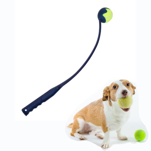 jiejack Hunde ballwurfmaschine! ballschleuder für Hunde Hundewurfwerkzeug für Haustiere, ideal zur Langeweilevertreibung und Interaktion (Blau) von jiejack