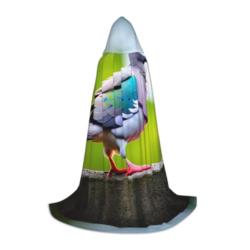 Stilvoller Kapuzenumhang mit Cartoon-Taubenmotiv – übergroßer Hut, Umhang für Damen und Herren, passend für Karneval, Cosplay Stilvoller Kapuzenumhang mit Cartoon-Taubenmotiv – übergroßer Hut, Umhang für Damen und Herren, passend für Karneval, Cosplay von jingong