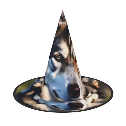 jingong Hübscher Halloween-Hut mit Husky-Aufdruck, 3er-Set, geeignet für Familien-Mottopartys, Hofdekoration, Karnevalspartys von jingong