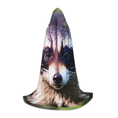 jingong Little Raccoon Face 1 Druck Stilvoller Kapuzenumhang – übergroßer Hut, Umhang für Damen und Herren, passend für Karneval, Cosplay jingong Little Raccoon Face 1 Druck Stilvoller Kapuzenumhang – übergroßer Hut, Umhang für Damen und Herren, passend für Karneval, Cosplay von jingong