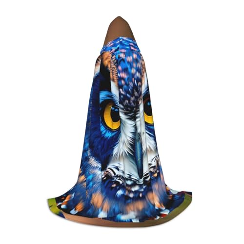 jingong Stilvoller Kapuzenumhang mit blauer Eule, 1 Druck, übergroßer Hut, Umhang für Damen und Herren, passend für Karneval, Cosplay jingong Stilvoller Kapuzenumhang mit blauer Eule, 1 Druck, übergroßer Hut, Umhang für Damen und Herren, passend für Karneval, Cosplay von jingong