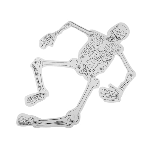 jojofuny Pädagogischer Lernwürfel Zur Anatomie des Menschlichen Skeletts Und Der Menschlichen Organe Für Die Schule von jojofuny