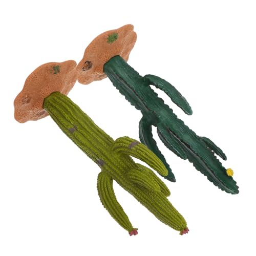 jojofuny 2 Stück Kaktus-Modell zimmerpflanzen büropflanzen Tischdeko mit grünen Kakteen Faux Sukkulenten für Zuhause und Büro Kaktusfigur Minikaktuspflanzen Bartagamen- PVC Green von jojofuny