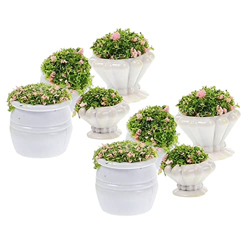 jojofuny 8 Stück Teiliges Mini Garten Dekorationsset mit Realistischen Simulation Pflanzen Leichte Landschaftsmodelle für DIY Szenarium Lebensechte Kleine Pflanzen Nachbildung für Miniatur jojofuny 8 Stück Teiliges Mini Garten Dekorationsset mit Realistischen Simulation Pflanzen Leichte Landschaftsmodelle für DIY Szenarium Lebensechte Kleine Pflanzen Nachbildung für Miniatur von jojofuny