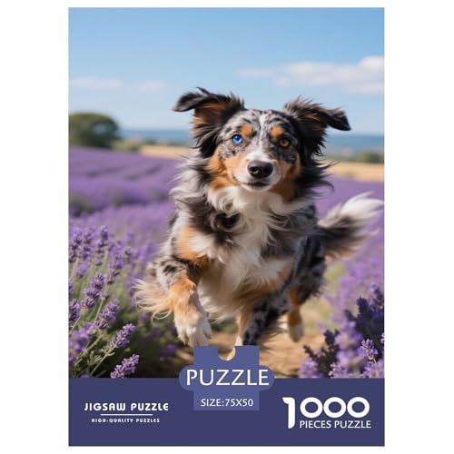Hund durch Lavendelfelder rennt. Collie. 1000-Teil-Puzzle Für Erwachsene. Puzzles 1000 Teilen. Erzieherische Spiele. Home-Dekoration. 1000pcs Puzzle 1000pcs (75x50cm) von junsuoxiao
