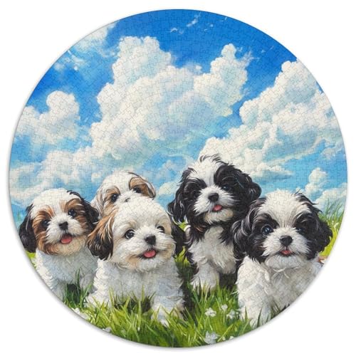 Pekingese. Gebietete Puzzles. Gehirnvergnügung Puzzle 1000 Teile Puzzle Für Erwachsene 1000pcs (67.5x67.5cm) von junsuoxiao