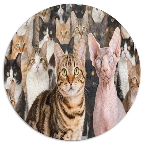 Vielfältige Katze. Gebietete Puzzles. Gehirnvergnügung Puzzle 1000 Teile Puzzle Für Erwachsene 1000pcs (67.5x67.5cm) von junsuoxiao