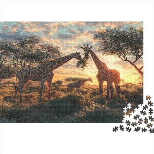 Afrikanische Giraffe beim Blätterfressen 1000pcs (75x50cm) Puzzles, Die Für Erwachsene Und Personen Ab 14 Jahren Geeignet Sind Sonneset von kaiyun