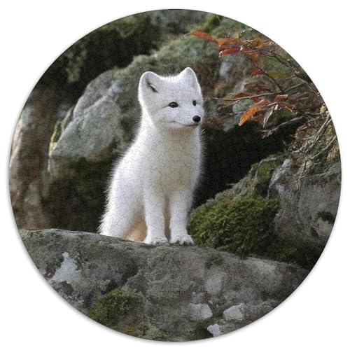 Arctic Fuchses of Scandinavia 1000pcs (67.5x67.5cm) Puzzle, Lernspiel Impossible Herausforderungsspielzeug Für Erwachsene Teenager von kaiyun