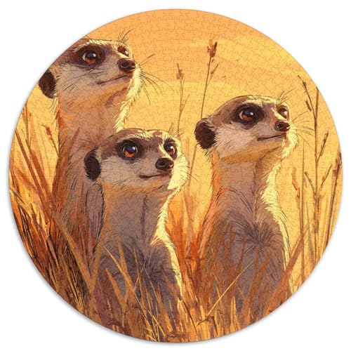 DREI Erdmännchen in der Savanne 1000pcs (67.5x67.5cm) Puzzles, Die Für Erwachsene Und Personen Ab 14 Jahren Geeignet Sind von kaiyun