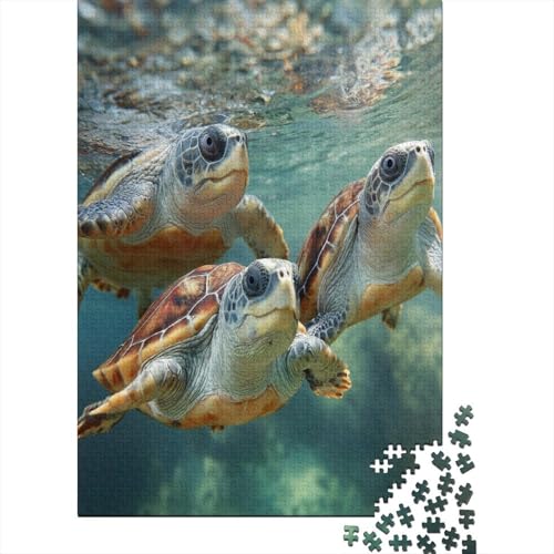 DREI schwimmende Schildkröten 70x50cm/1000pcs Puzzles, Die Für Erwachsene Und Personen Ab 14 Jahren Geeignet Sind DREI schwimmende Schildkröten 70x50cm/1000pcs Puzzles, Die Für Erwachsene Und Personen Ab 14 Jahren Geeignet Sind von kaiyun