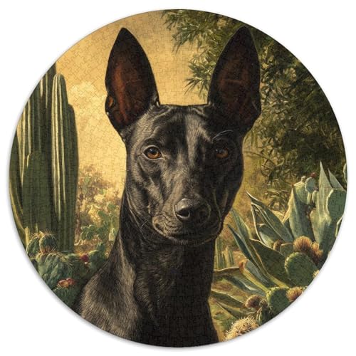 Exikanischer Hund 1000pcs (67.5x67.5cm) Schwer Puzzle Lernspiel Impossible Sonnenschein-Kaktus Herausforderung Spielzeug Für Erwachsene Kinder von kaiyun