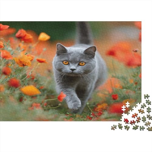 Graue Britisch Kurzhaar 1000pcs (75x50cm) Puzzles, Die Für Erwachsene Und Personen Ab 14 Jahren Geeignet Sind von kaiyun