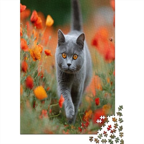 Graue Britisch Kurzhaarkatze 38x26cm/1000pcs Schwer Puzzle Lernspiel Impossible Herausforderung Spielzeug Für Erwachsene Kinder Graue Britisch Kurzhaarkatze 38x26cm/1000pcs Schwer Puzzle Lernspiel Impossible Herausforderung Spielzeug Für Erwachsene Kinder von kaiyun