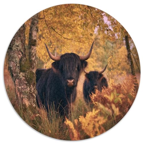 Herbstliche Wälder,Naughty Highland Bull Gemusterte Nachhaltige Für Erwachsene Hochwertige Holzspielpuzzles 1000pcs (67.5x67.5cm) von kaiyun