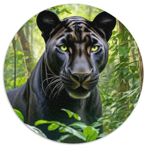 Leopard Puzzle 1000pcs (67.5x67.5cm) Erwachsene Forest Puzzle,Home Decor von kaiyun