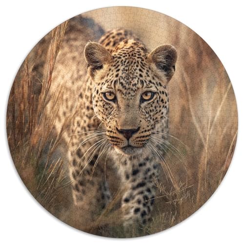 Leopard in Einer Graslandschaft1000 Teile: Unmögliches Puzzle Für Erwachsene, Spiele, Geschenke, Kinder, Herausforderungs1000pcs (67.5x67.5cm) von kaiyun
