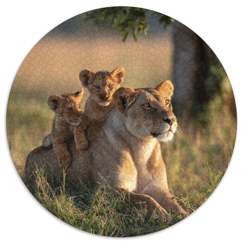 Niedliche Löwenjungen Spielen und tollen auf dem Rücken ihrer Löwin herum 1000pcs (67.5x67.5cm) Erwachsenenpuzzle - DIY-Puzzlespielzeug von kaiyun