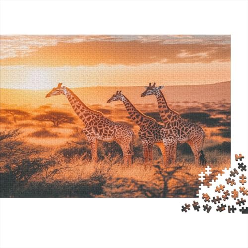 Safari-Landschaft,Schöne und lebendige Giraffe,1000pcs (75x50cm),DIY-Puzzle Für Erwachsene von kaiyun