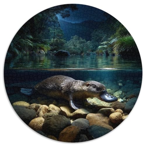 Schnabeltier 1000pcs (67.5x67.5cm) Puzzle, Lernspiel Impossible Tasmanien Herausforderungsspielzeug Für Erwachsene Teenager von kaiyun