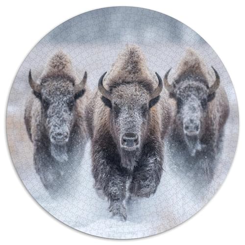 Schnee 1000pcs (67.5x67.5cm) Puzzle, Lernspiel Impossible Bedeckter Bison Herausforderungsspielzeug Für Erwachsene Teenager von kaiyun