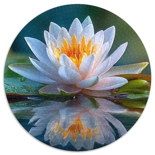 Seerosenspiegelung 1000pcs (67.5x67.5cm) Schwer Puzzle Lernspiel Impossible Herausforderung Spielzeug Für Erwachsene Kinder von kaiyun