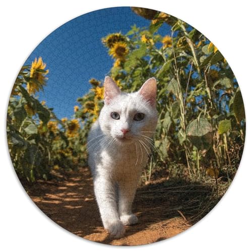 Weiße Katze auf dem Weg im Sonnenblumenfeld 1000pcs (67.5x67.5cm) Schwer Puzzle Lernspiel Impossible Herausforderung Spielzeug Für Erwachsene Kinder von kaiyun