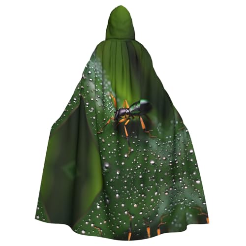 kastiong Cosplay-Umhang für Erwachsene, 160 cm, Kostüm, Halloween, lange Regenbögen, Insekten, Hexe, Kapuzenmantel, Umhang, Outfit für Party kastiong Cosplay-Umhang für Erwachsene, 160 cm, Kostüm, Halloween, lange Regenbögen, Insekten, Hexe, Kapuzenmantel, Umhang, Outfit für Party von kastiong