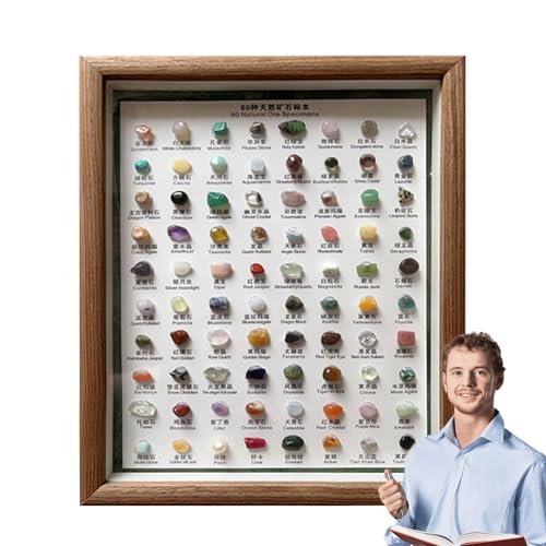 keloppasit Steinsammlung, 80 Rohsteine, tragbar, für Sammlung, ungeschliffenes Kristall-Set, Erkennungs-Set mit Holzrahmen, Heimdekoration für keloppasit Steinsammlung, 80 Rohsteine, tragbar, für Sammlung, ungeschliffenes Kristall-Set, Erkennungs-Set mit Holzrahmen, Heimdekoration für von keloppasit