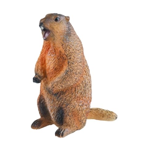 kowaku Groundhog Action Figur Frühes kognitives Spielzeug für Bildungswildtiere für Geschenke, Offener Mund kowaku Groundhog Action Figur Frühes kognitives Spielzeug für Bildungswildtiere für Geschenke, Offener Mund von kowaku