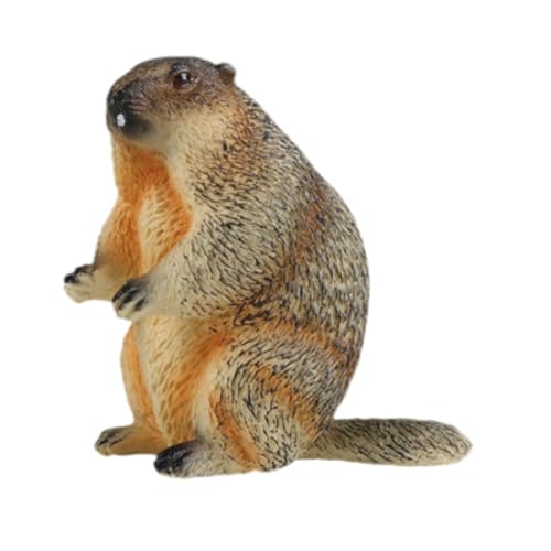 kowaku Groundhog Action Figur Frühes kognitives Spielzeug für Bildungswildtiere für Geschenke, Stehen kowaku Groundhog Action Figur Frühes kognitives Spielzeug für Bildungswildtiere für Geschenke, Stehen von kowaku