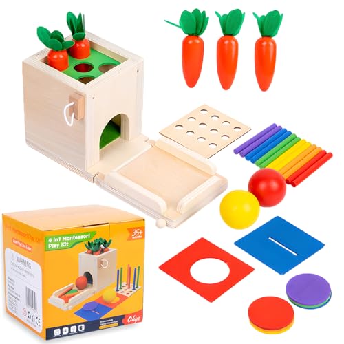 4-IN-1 Montessori Box, Holz Baby Sensory Spielzeug,Montessori Spielzeug ab 1 Jahr , Motorikspielzeug ,Münzbox, Karottenernte, Colour Matching Sticks, Ball Drop,für Kinder ab 2 3 4 Jahre Jungen Mädchen von lcvtos