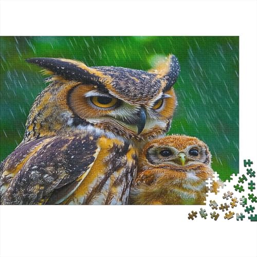 Eule Puzzle 1000 Teile Für Erwachsene Geschicklichkeitsspiel Für Die Ganze Familie kleine Eule Puzzle Premium Quality Schöne Geschenkidee Moderne 1000pcs (75x50cm) von lihuogongsio