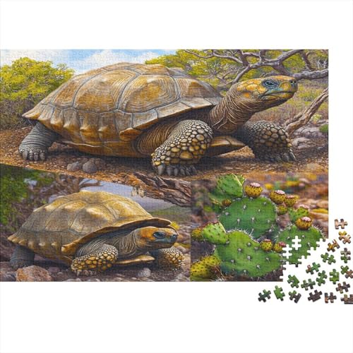 Landschildkröte Puzzle Erwachsene 1000 Teile Puzzle Schildkröte Holzpuzzle Erwachsener Hochwertig Für Die Ganze Familie Unmögliches DIY Kreative Moderne Wohnkultur 1000pcs (75x50cm) von lihuogongsio