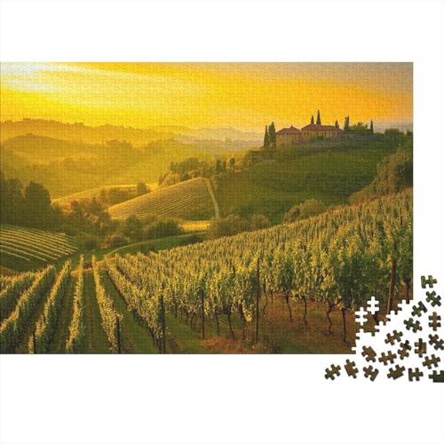 Piemonte Weinberg Puzzle Erwachsene 1000 Teile Italien bei Sonnenaufgang Puzzle Geschicklichkeitsspiel Für Die Ganze Familie DIY Kreative Unterhaltung Schöne Geschenkidee 1000pcs (75x50cm) von lihuogongsio