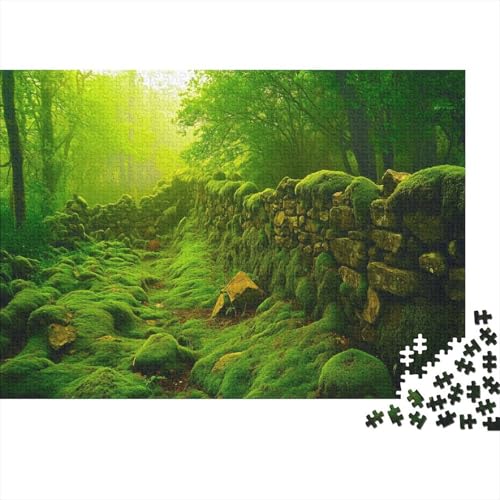 irisch Mossy Wall Ruins 1000 Stück Puzzles irisch Puzzle Erwachsene Schwer Für Erwachsene Lernspiel Spielzeug Geschenk Schöne Geschenkverpackung Premium Quality Mehrfarbig 1000pcs (75x50cm) von lihuogongsio