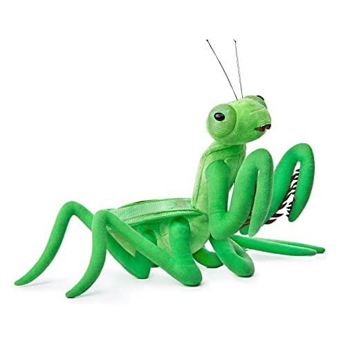 lilizzhoumax Gottesanbeterin plüschtier 33cm/13”, Simuliertes Tier Gottesanbeterin Plüschtier, Kawaii Heuschrecke, Realistische Insekt Plüsch Spielzeug für wilde Tiere, Geschenk für Freunde und Kinder von lilizzhoumax