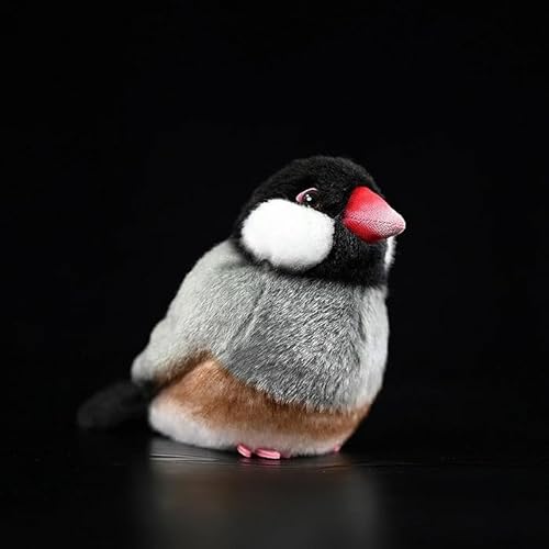 lilizzhoumax Grauer Vogel plüschtier 14cm/5” Simuliertes Tier Kawaii Grauer Vogel Plüsch Realistische Vogel Spatz Spielzeug für Wilde Tiere Geschenk für Kinder pelziges Stofftier Vogelsammlung lilizzhoumax Grauer Vogel plüschtier 14cm/5” Simuliertes Tier Kawaii Grauer Vogel Plüsch Realistische Vogel Spatz Spielzeug für Wilde Tiere Geschenk für Kinder pelziges Stofftier Vogelsammlung von lilizzhoumax