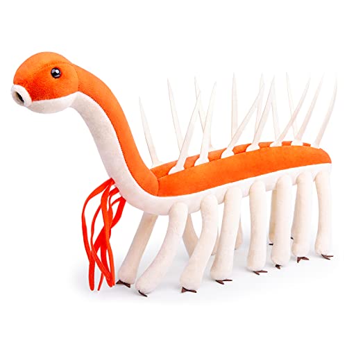 Lilizzhoumax Kambrisches Antikes Lebewesen Halluzigenie Plüschtier 43cm/17", Simuliertes Tier, Realistisches Spielzeug für Wilde Tiere Lilizzhoumax Kambrisches Antikes Lebewesen Halluzigenie Plüschtier 43cm/17", Simuliertes Tier, Realistisches Spielzeug für Wilde Tiere von lilizzhoumax