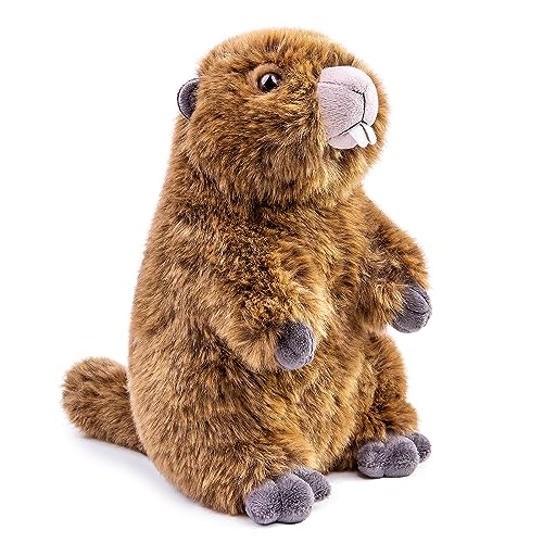 lilizzhoumax Murmeltier Plüsch Kuscheltier 25cm/10Zoll Kawaii Niedlich Realistische Spielzeug Wilde Tiere Ostern Geschenk für Kinder Jungen Mädchen braun Alter 4 5 6 7 8 von lilizzhoumax