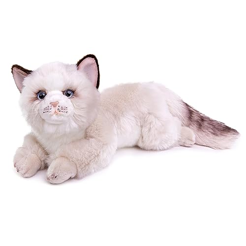 lilizzhoumax Ragdoll-Katze Stofftier Plüschtier realistisches Ragdoll-Katze Plüsch schönes Tier niedliche und weiche Geschenke Katze für Kinder Jungen und Mädchen Spielzeug Katze Plüsch 20” Weiß lilizzhoumax Ragdoll-Katze Stofftier Plüschtier realistisches Ragdoll-Katze Plüsch schönes Tier niedliche und weiche Geschenke Katze für Kinder Jungen und Mädchen Spielzeug Katze Plüsch 20” Weiß von lilizzhoumax