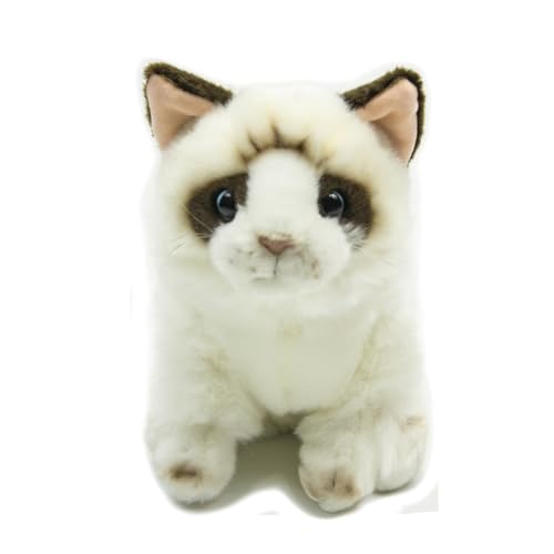 lilizzhoumax Ragdoll-Katze Stofftier Plüschtier realistisches Ragdoll-Katze Plüsch schönes Tier niedliche und weiche Geschenke Katze für Kinder Jungen und Mädchen Spielzeug Katze Plüsch 8.6” Weiß lilizzhoumax Ragdoll-Katze Stofftier Plüschtier realistisches Ragdoll-Katze Plüsch schönes Tier niedliche und weiche Geschenke Katze für Kinder Jungen und Mädchen Spielzeug Katze Plüsch 8.6” Weiß von lilizzhoumax